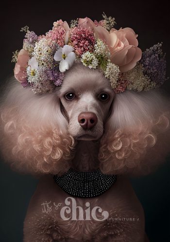 Floral Poodle (POD)