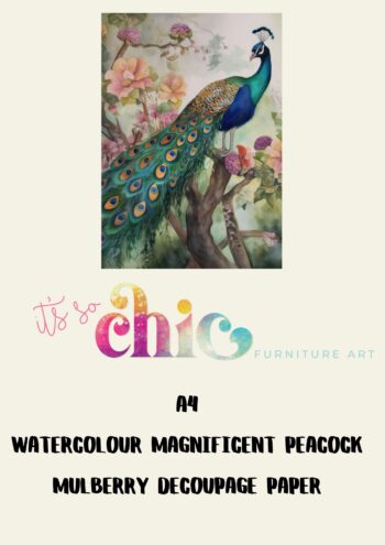 Watercolour Magnificent Peacock