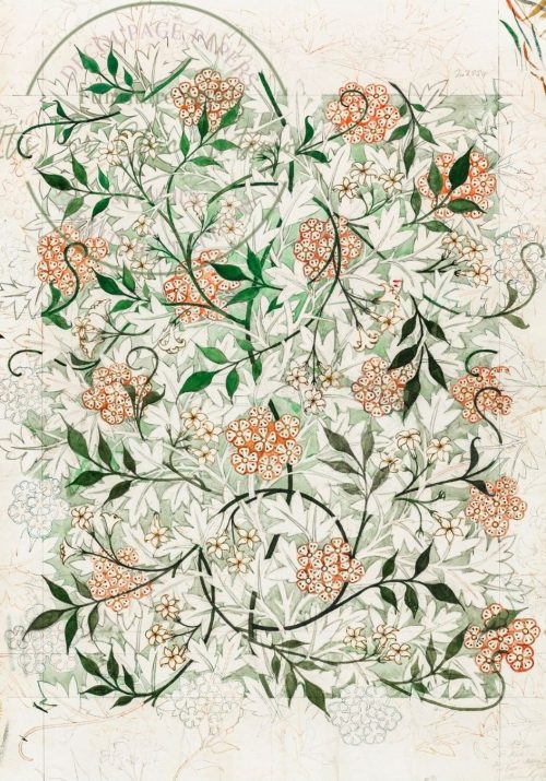 Jasmine By William Morris