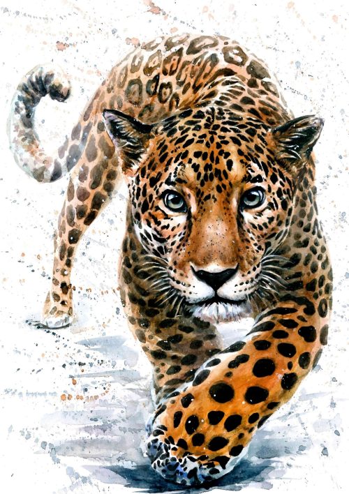 Watercolour Leopard