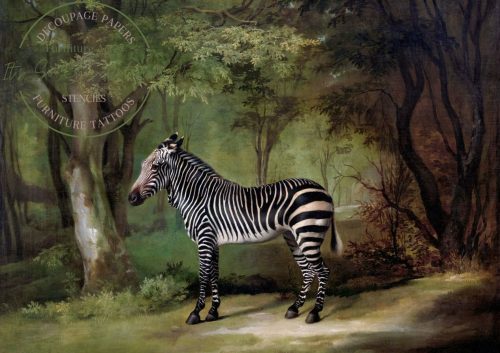 Zebra by George Stubbs