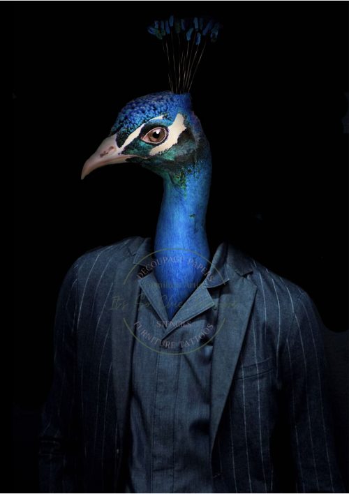 Mr Peacock